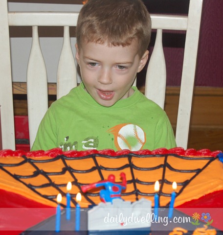 Kroger Birthday Cakes on Sweet Little Boy Was Thrilled With His Spiderman Cake From Kroger